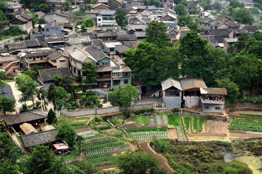 驱灵师